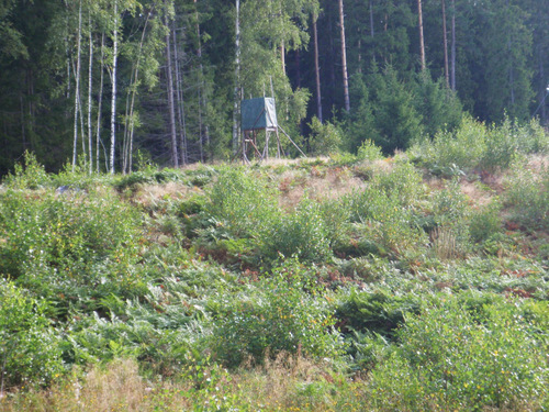 Hunting Blind.